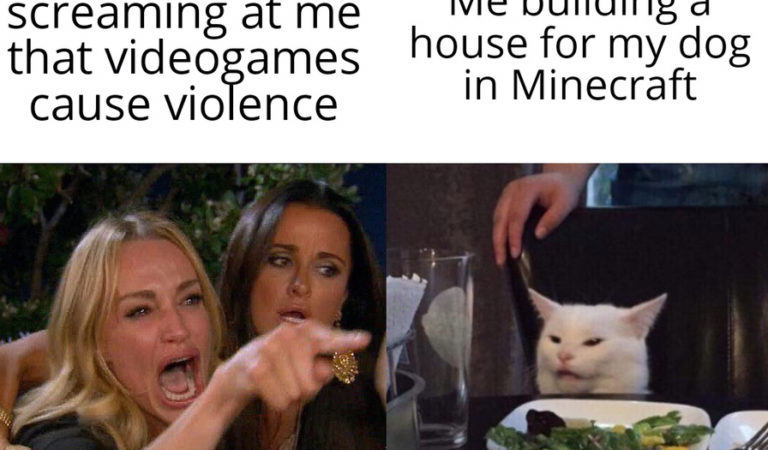 35 Hilarious Pictures Of “Woman Yelling At Cat” From Ever Green Meme List